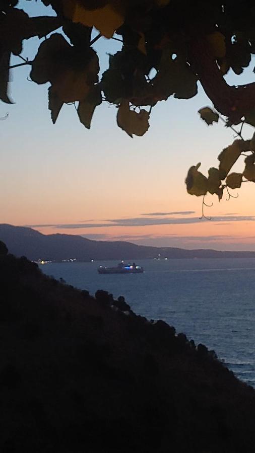 Vila Orizzonte Blue Sarandë エクステリア 写真